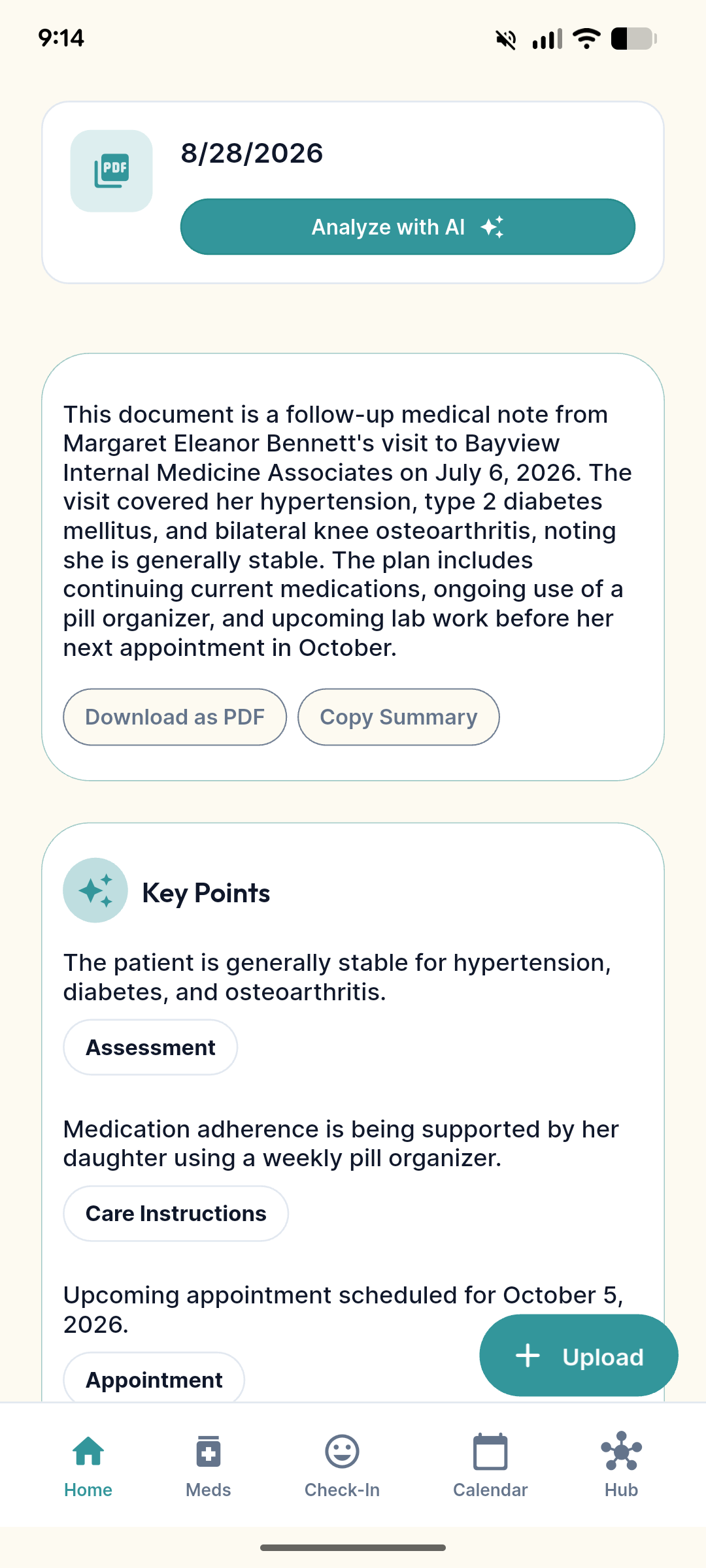 AI document summary with categorized key points.
